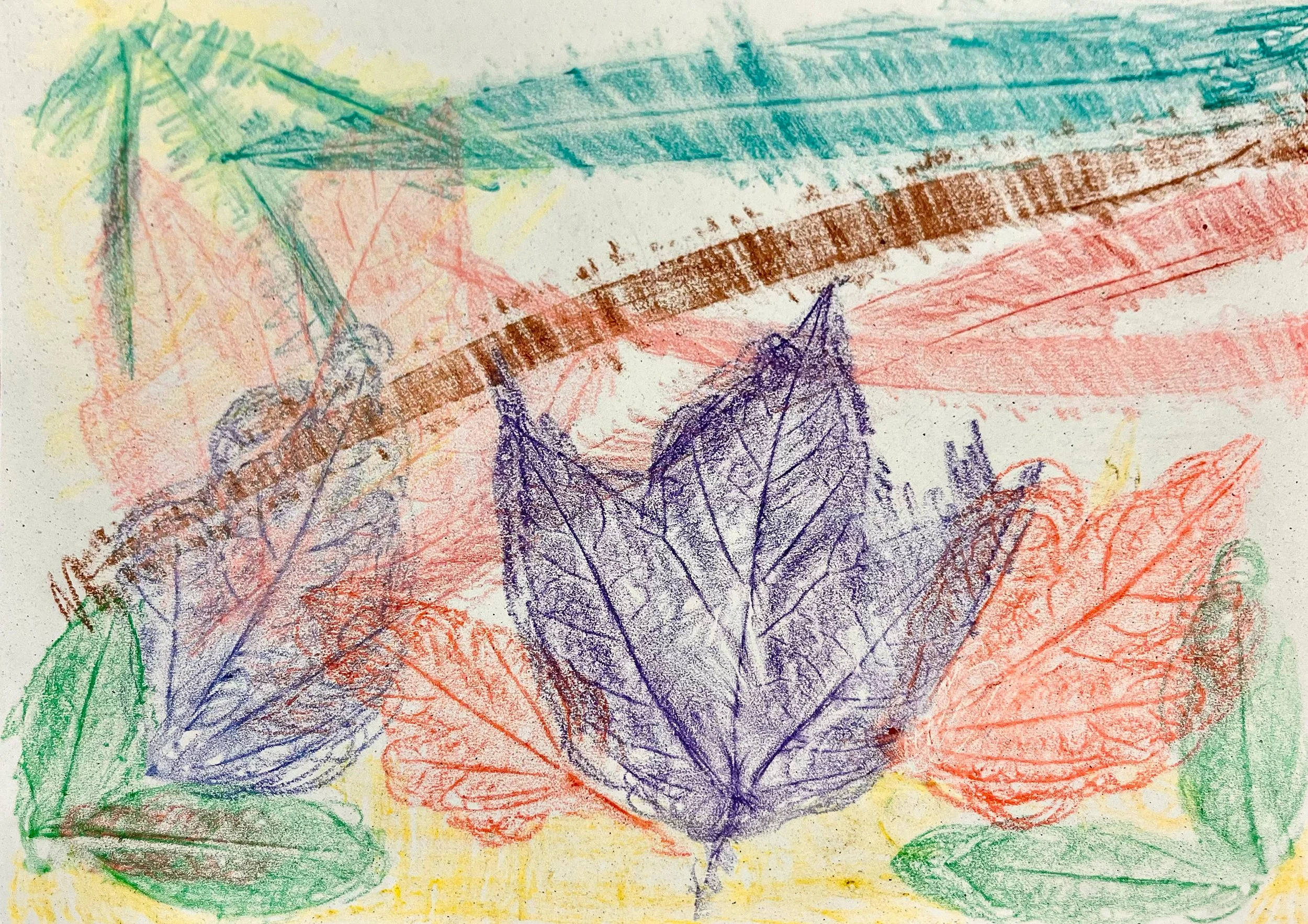 Leaf Rubbing
