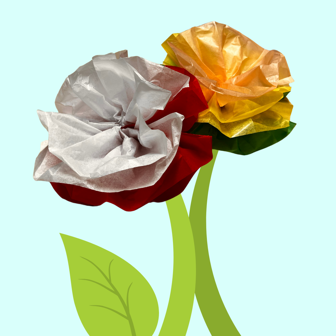 MakerSpace: Tissue Flowers