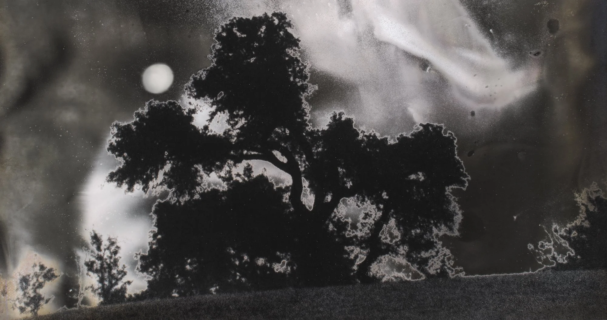 Virtual Artist Talk with Jane Olin 