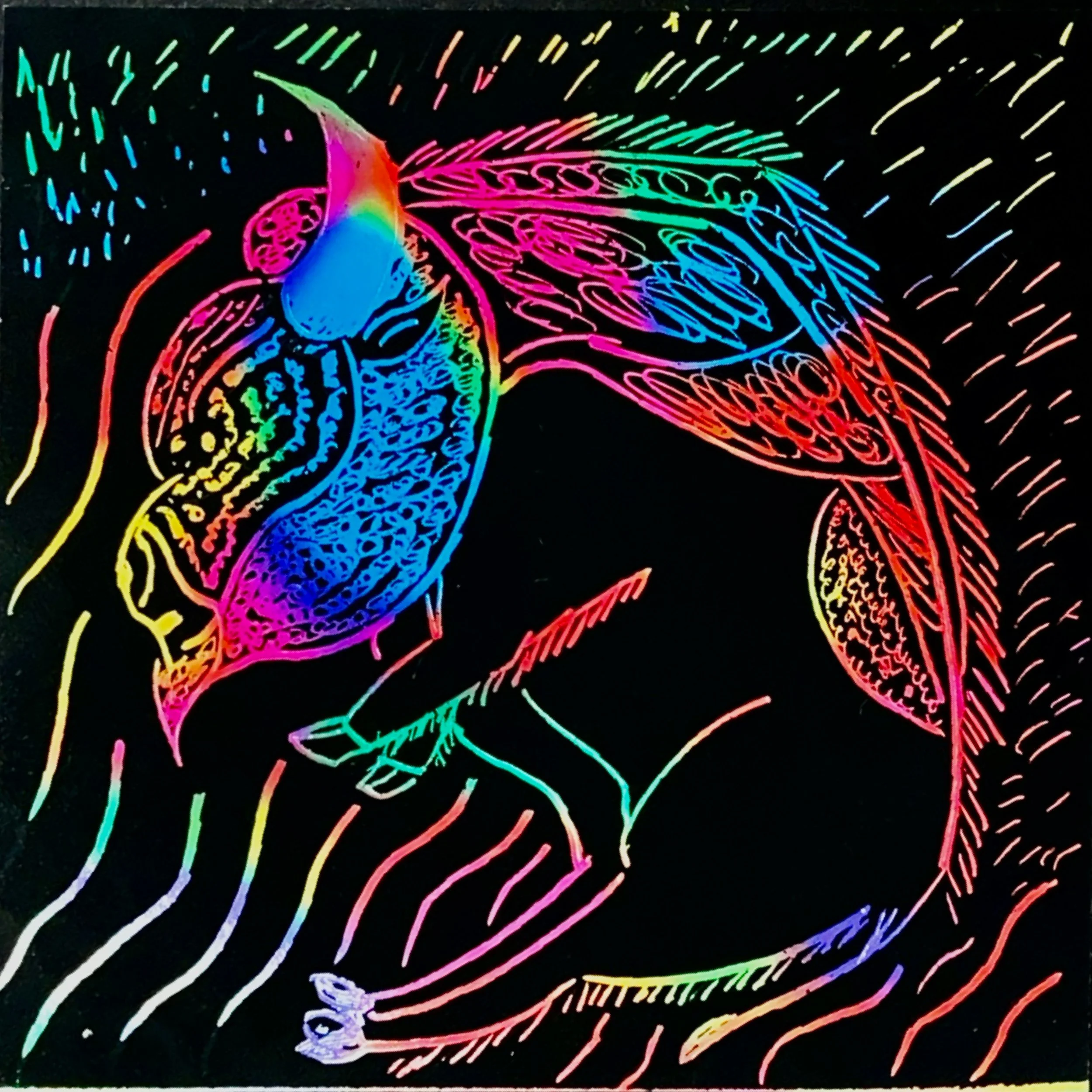 A rainbow image on a black background of a buffalo