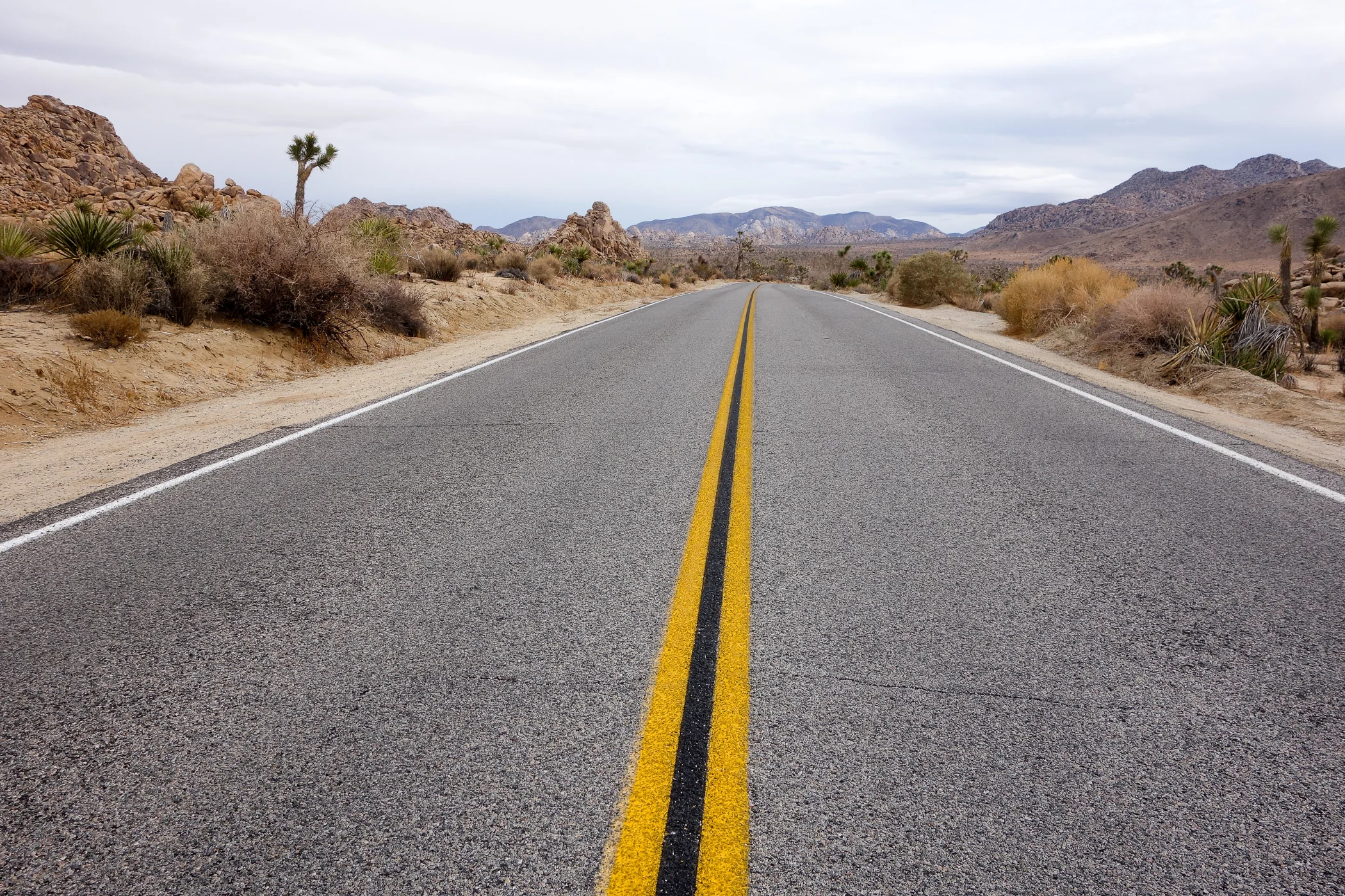 Entering Joshua Tree National Park, California (12/2014)