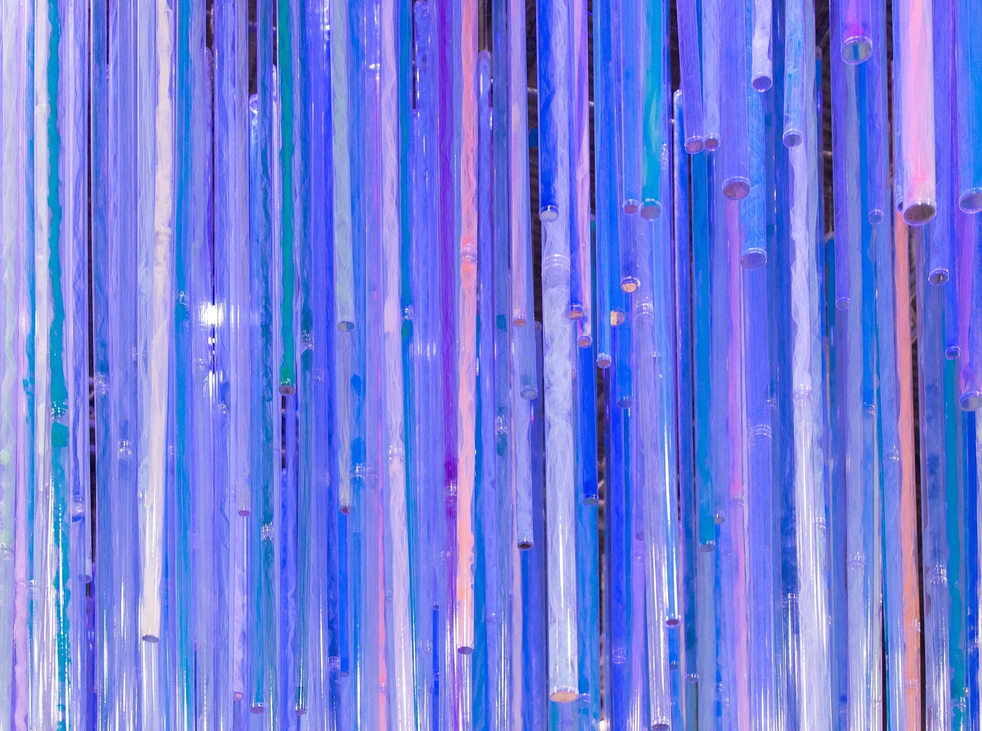 | PHILADELPHIA FLOWER SHOW | 