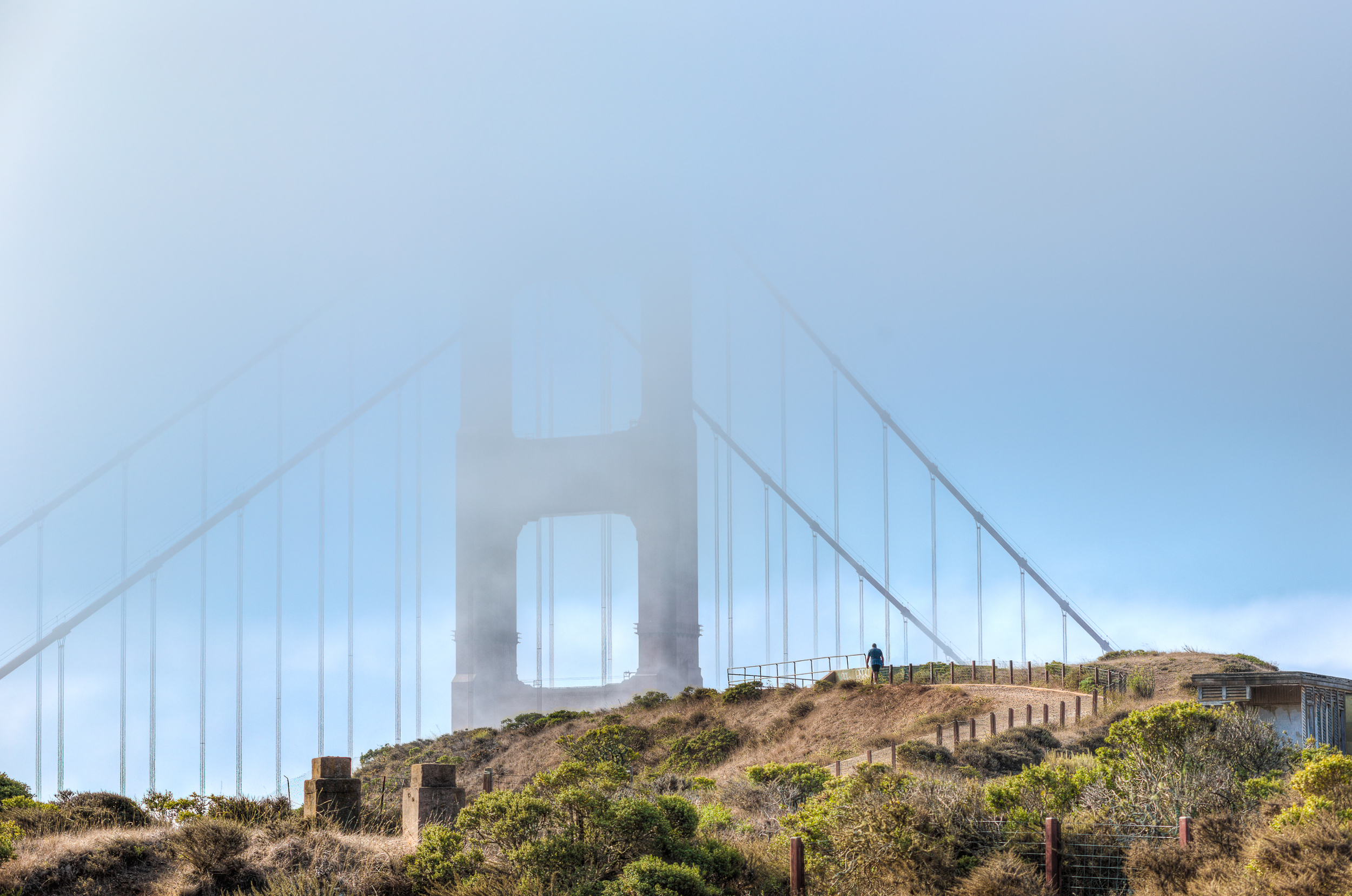 Walking Into the Mist.jpg