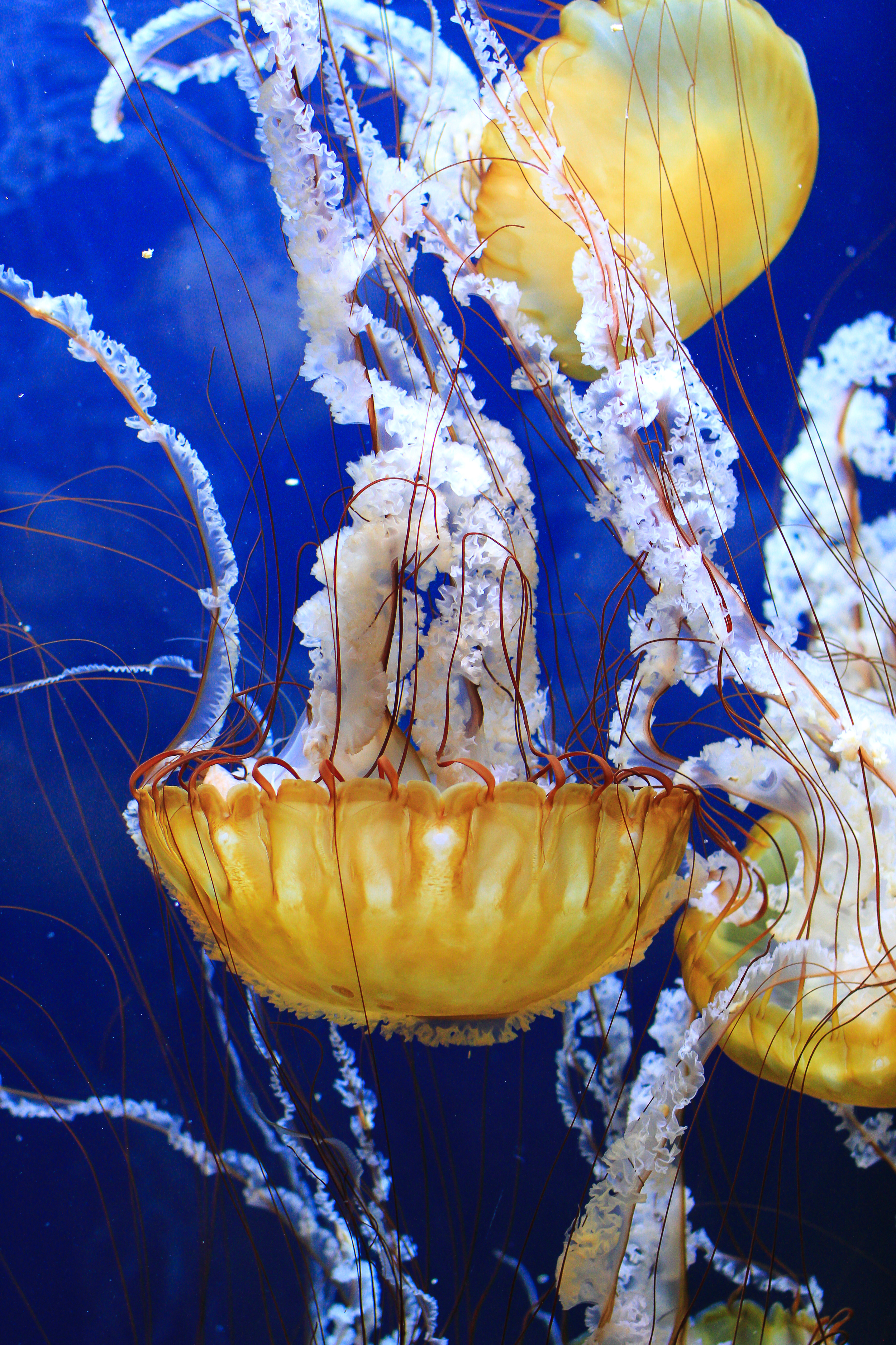 20120318AquariumTrip-28.jpg