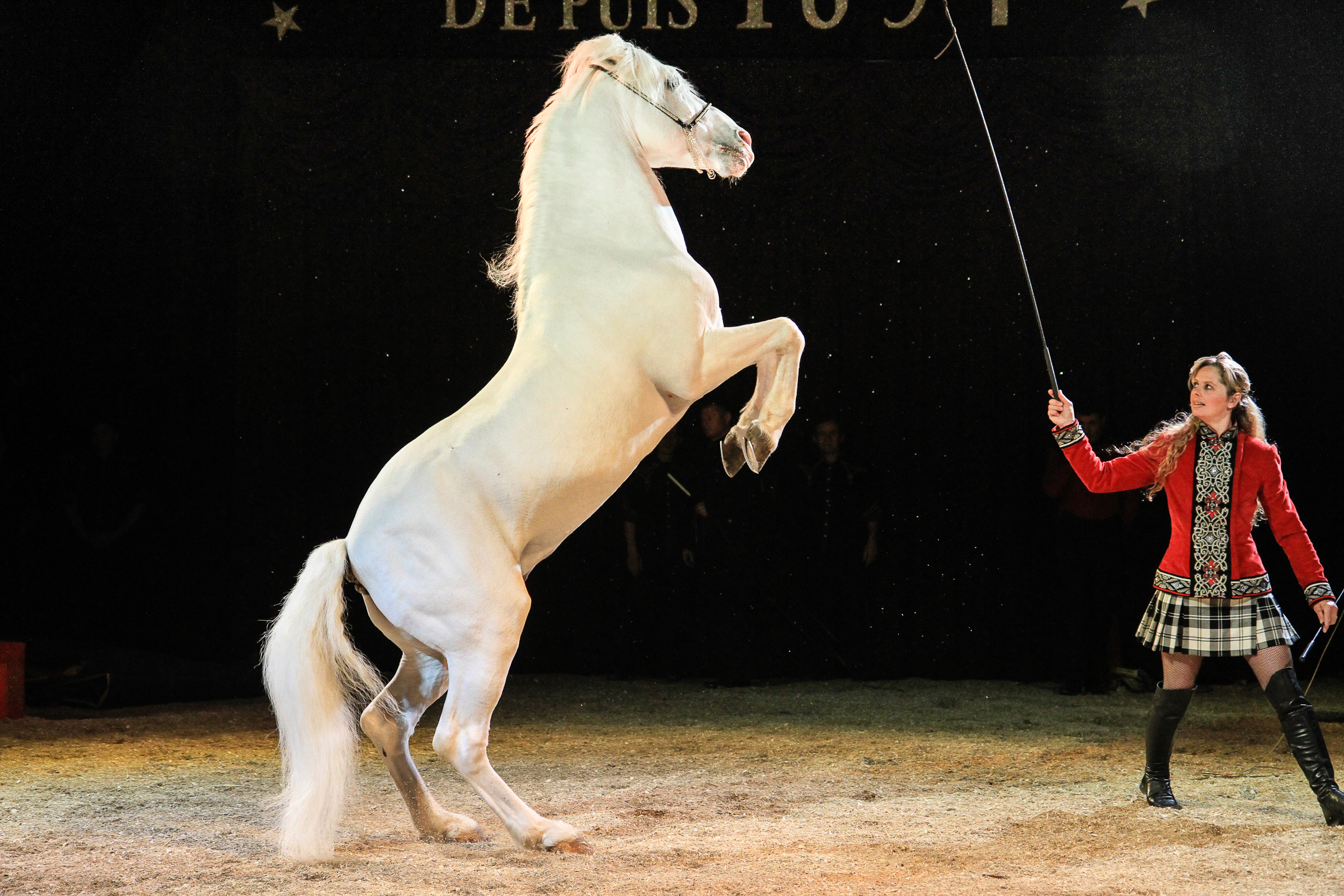 circus-302.jpg
