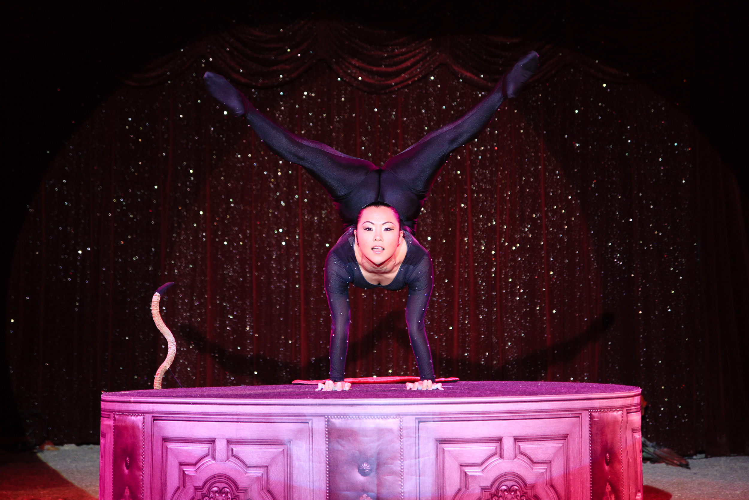 circus-423.jpg