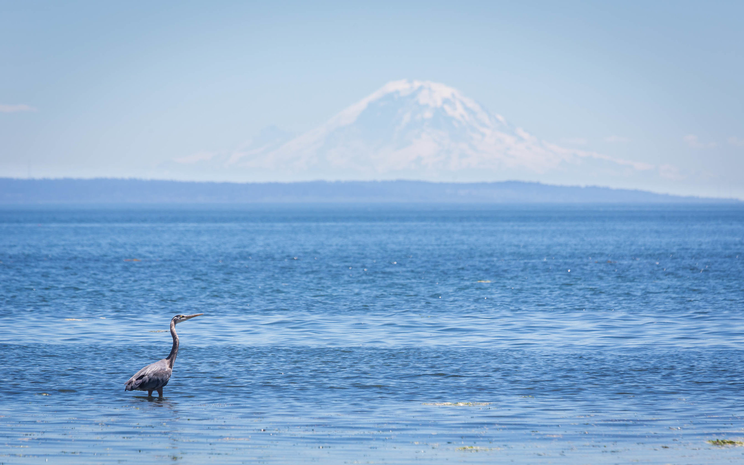20180712WI-clamming-126.jpg