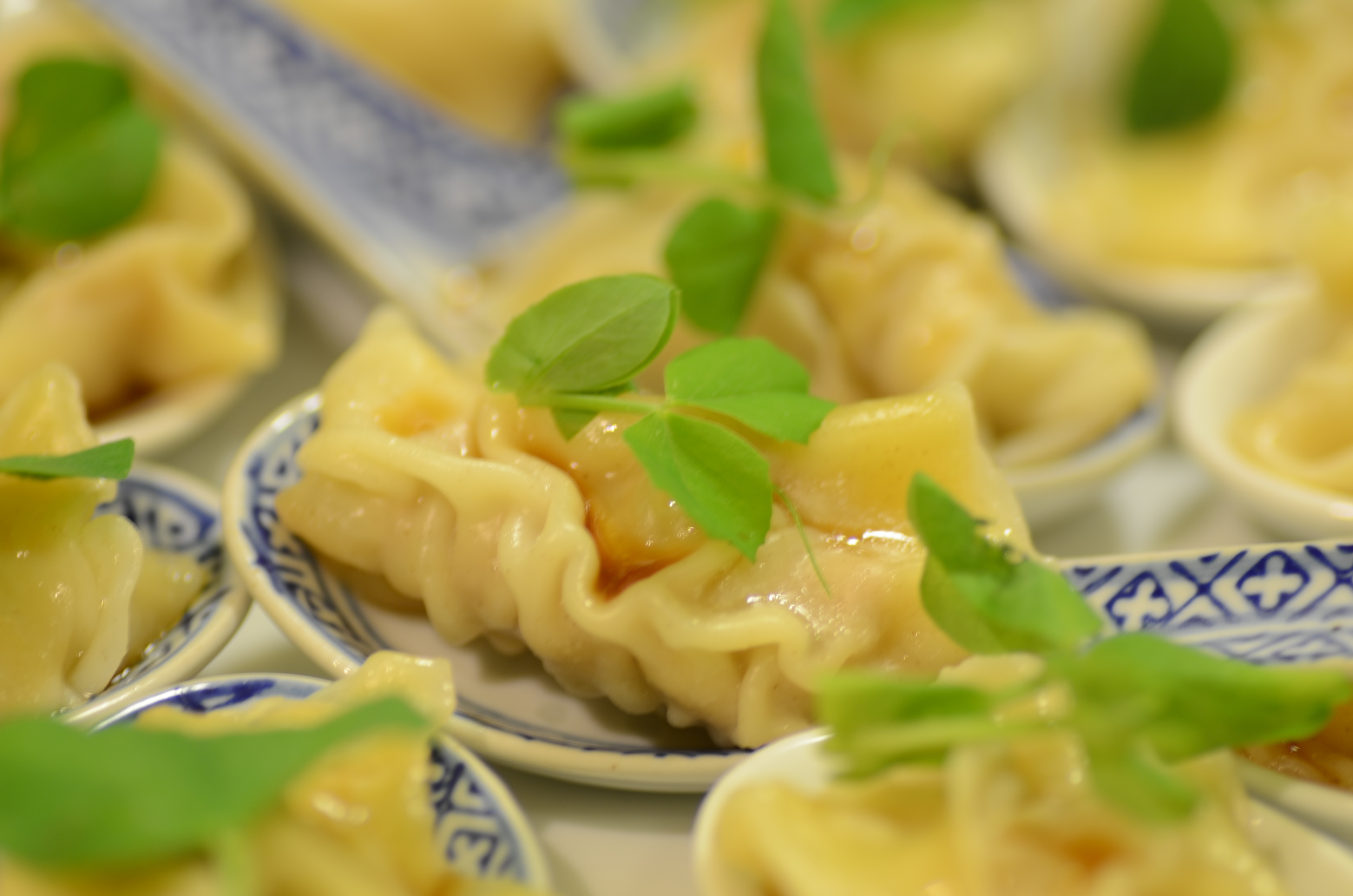 Pork Gyoza