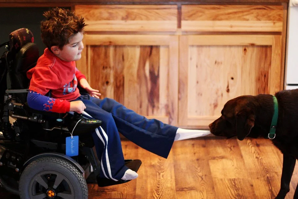 Our Dogs — Summit Assistance Dogs