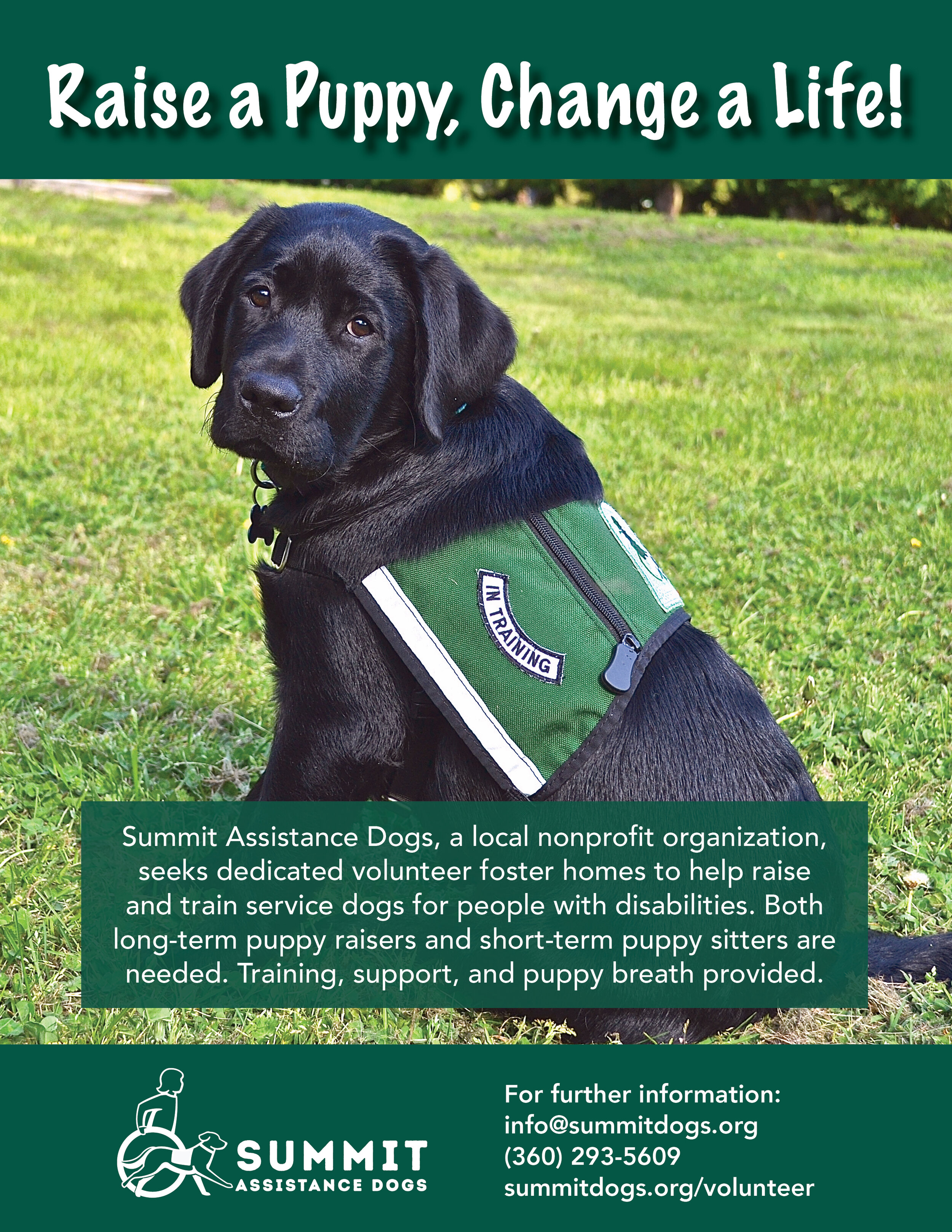 Guide Dogs Trained Therapy Dogs For Adoption Learning Disabilities