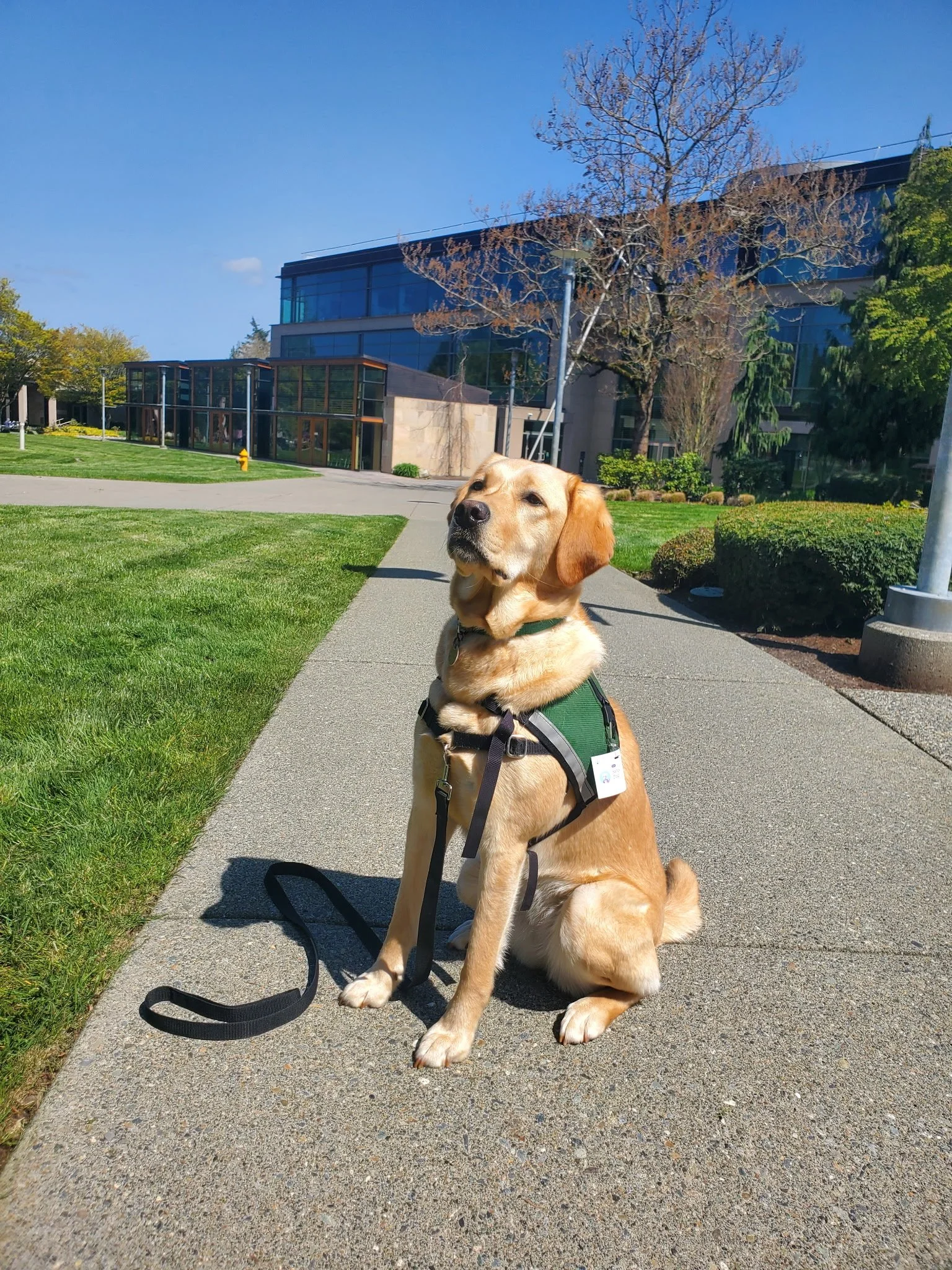 Sandy at Microsoft 2025.jpg