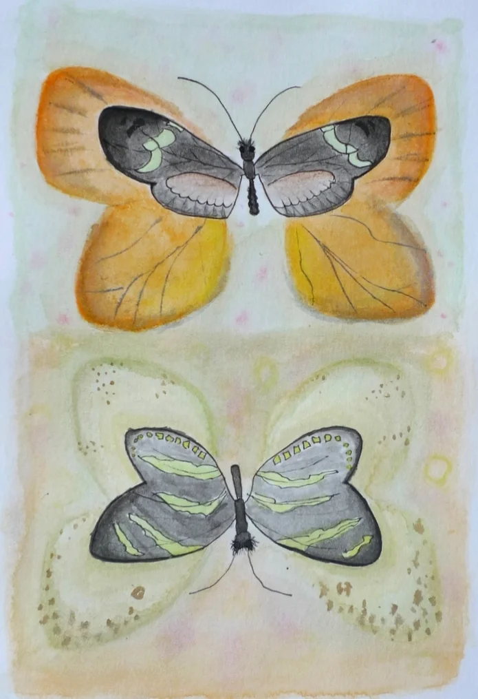 Butterflies