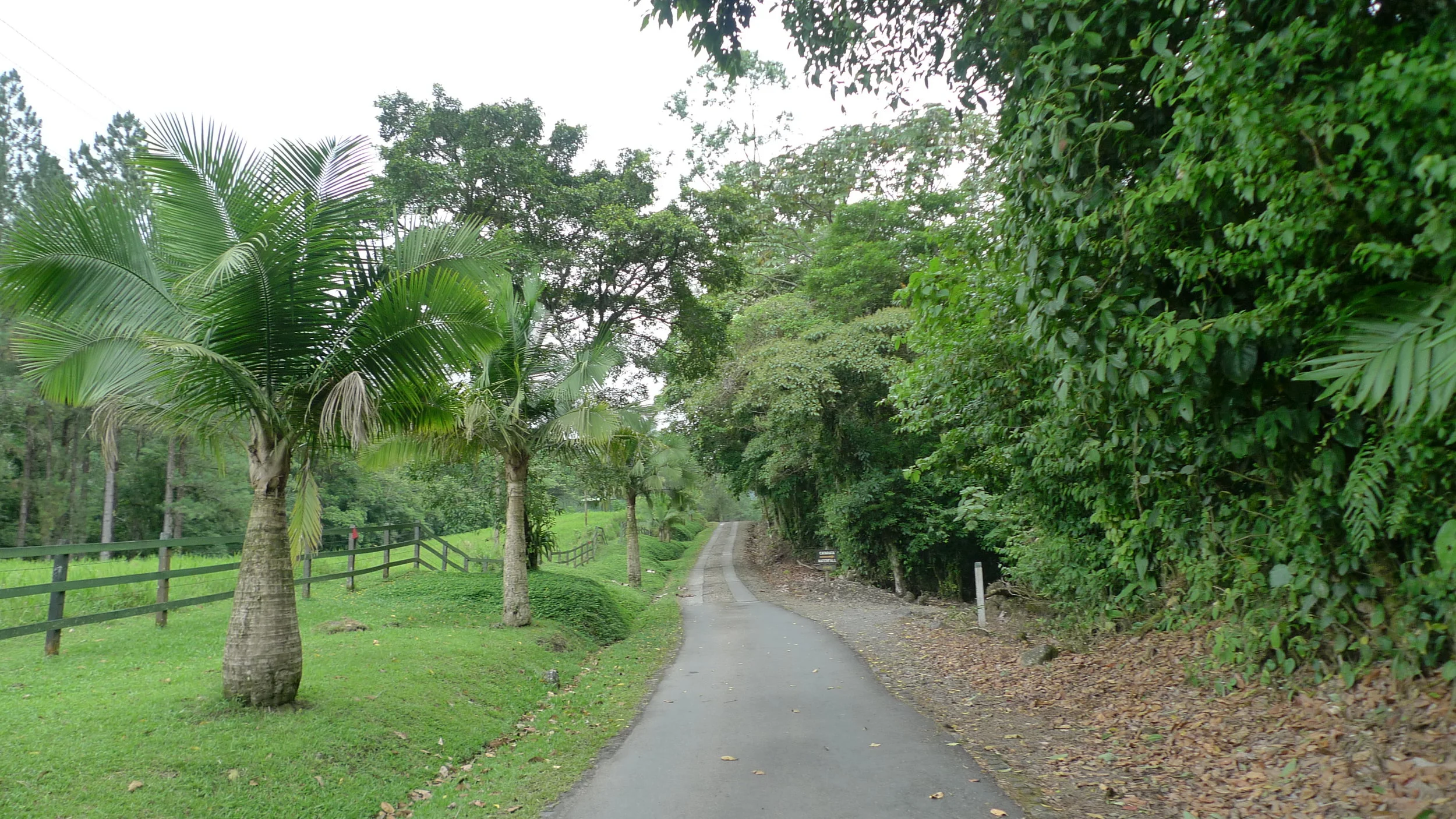 P1070345.JPG