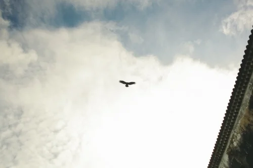 Photo by Paul Green on Unsplash