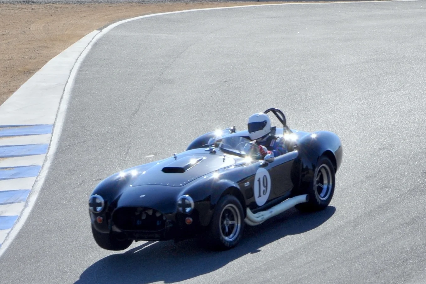 COBRA PIC FOR RACE ENTRY.jpg