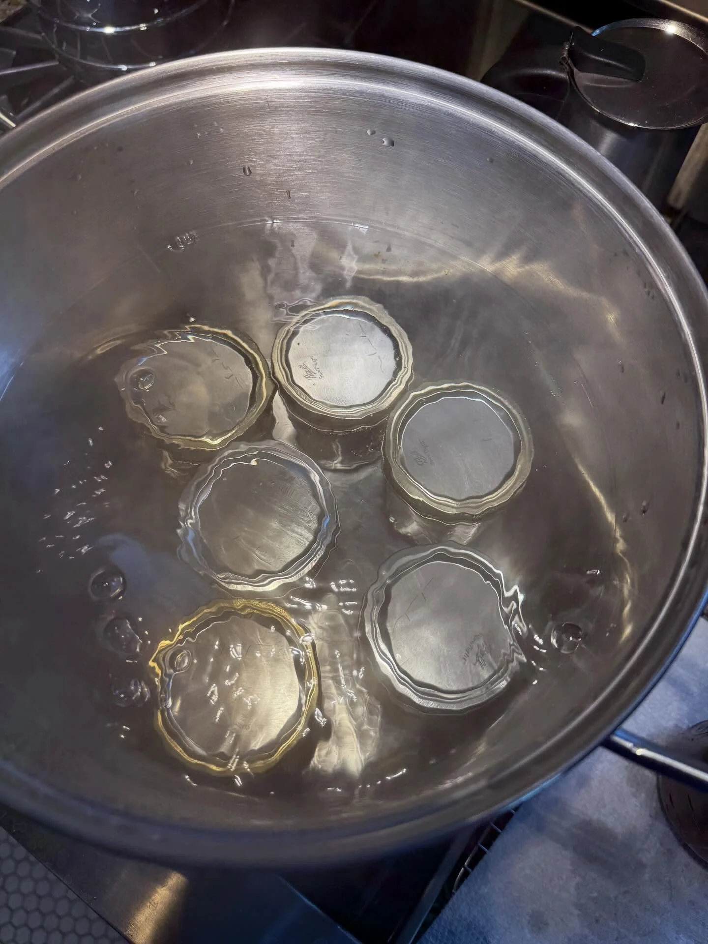 Took a little break from fleece scouring to can some apple butter with apples we brought back from NJ. This stuff and the act of making it have been part of my family&rsquo;s history for time beyond memory. #canning #eatathome