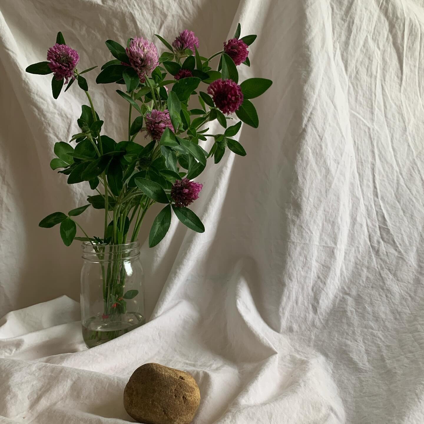 My favorite objects/subjects: flowers, fabric, rocks, thread, light. 2022 #photostylist #propstylist #creativeprocess #tablescape #stilllife #stilllifephotography