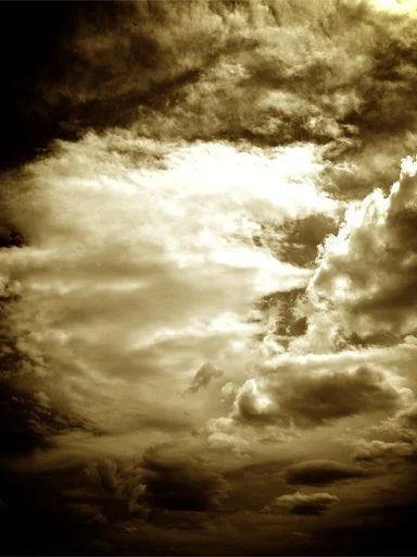 thumb-141.jpg