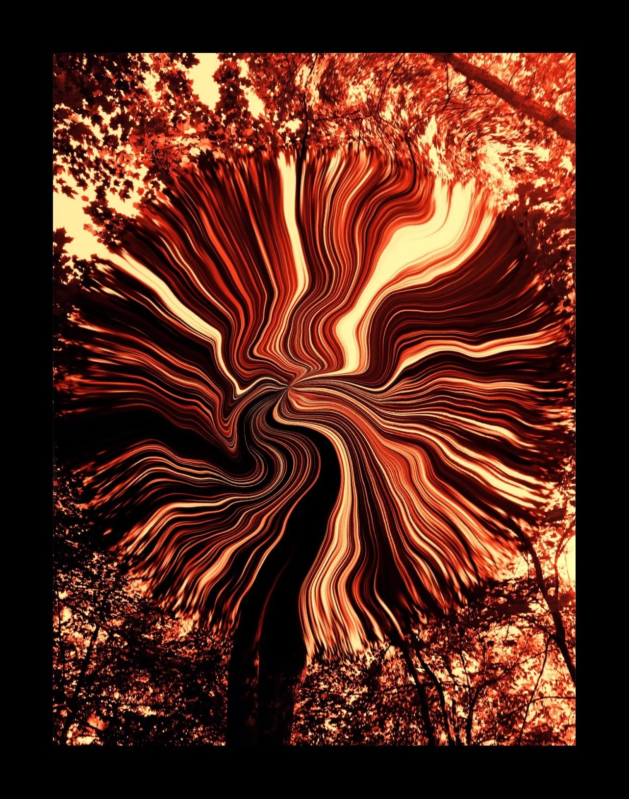 3FEDAF13-36EA-4E9D-9C41-52A4A9563331 2.jpeg