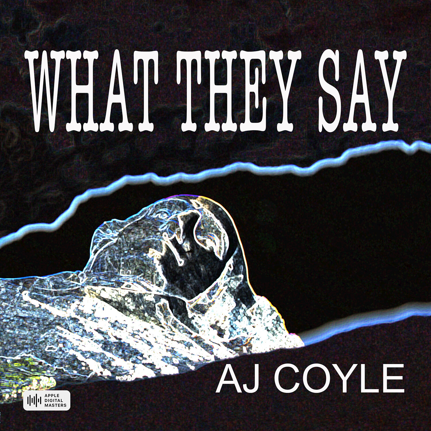 What They Say - AJ Coyle