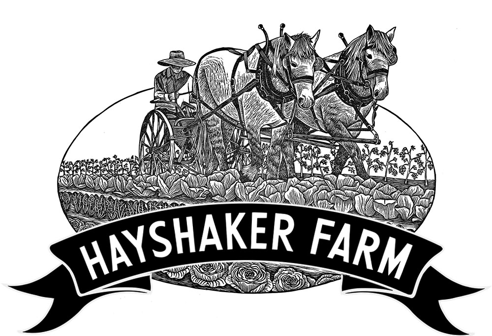 Hayshaker mockup REVISED.jpg