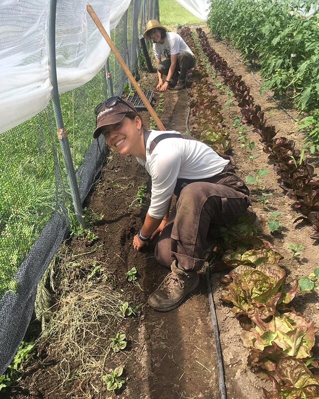 Say hi to Amara and Jessie, joining us for 10 weeks through a Whitman College internship. They will be working on increasing food accessibility and recipe development when they&rsquo;re not in the field helping us grow food for our community. ❤️ 👋 ?