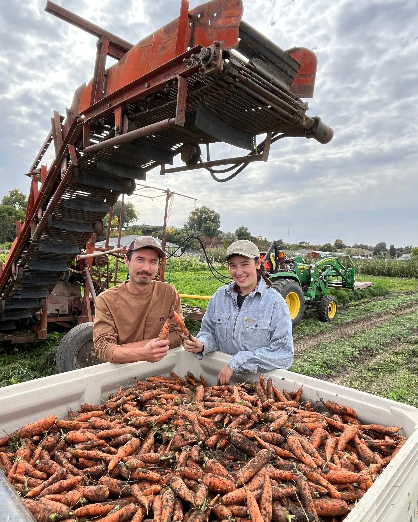 Autumn root harvest continues with gusto! Last week saw half of the carrot crop and most of the beet crop come into the cooler, and we're bursting at the seams. The crew is spending hours and hours this month washing and packing the roots for winter.