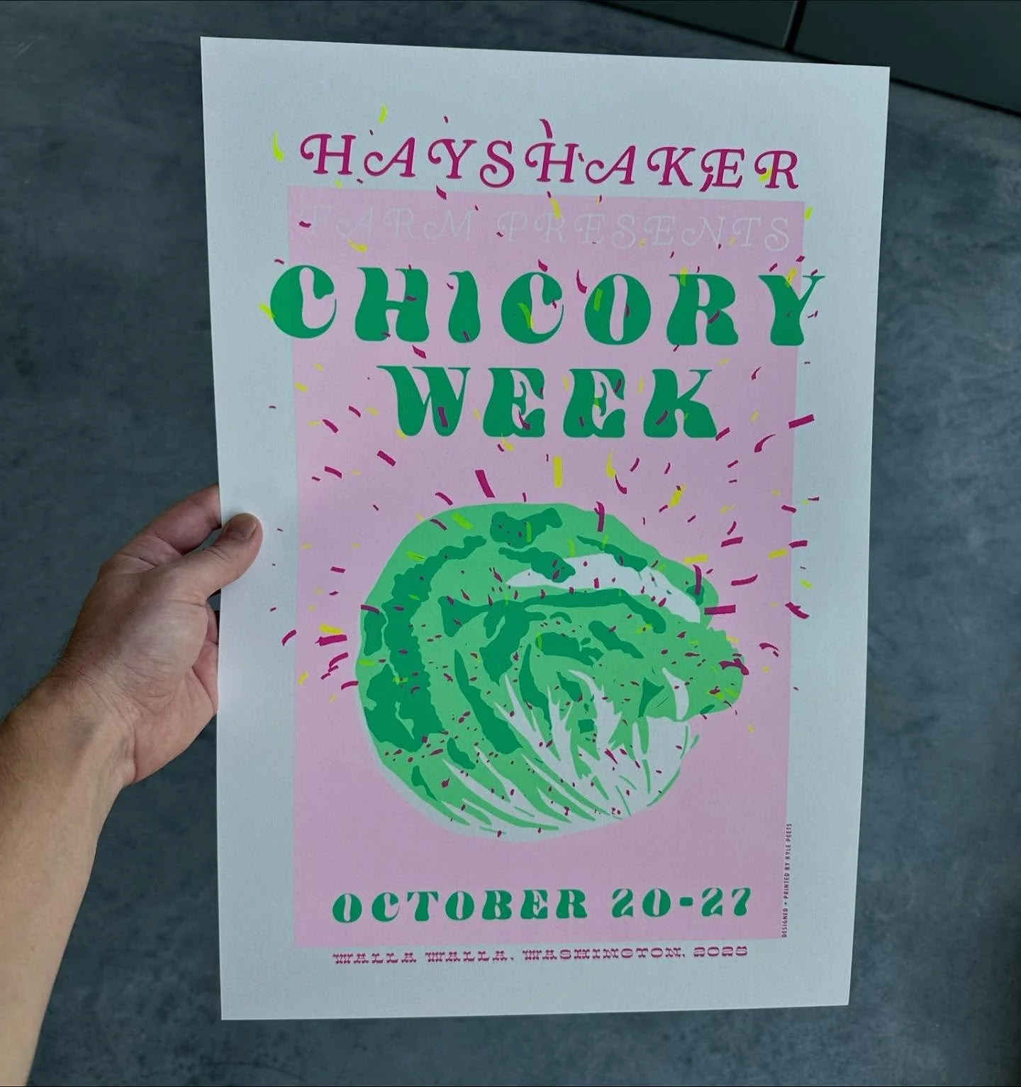 Yesterday as I packed the radicchio harvest, I was getting nerdy about the breeding history and connections of the different varieties while training some of the newer staff on all the types and uses. Some wide eyes at the volume of information, some