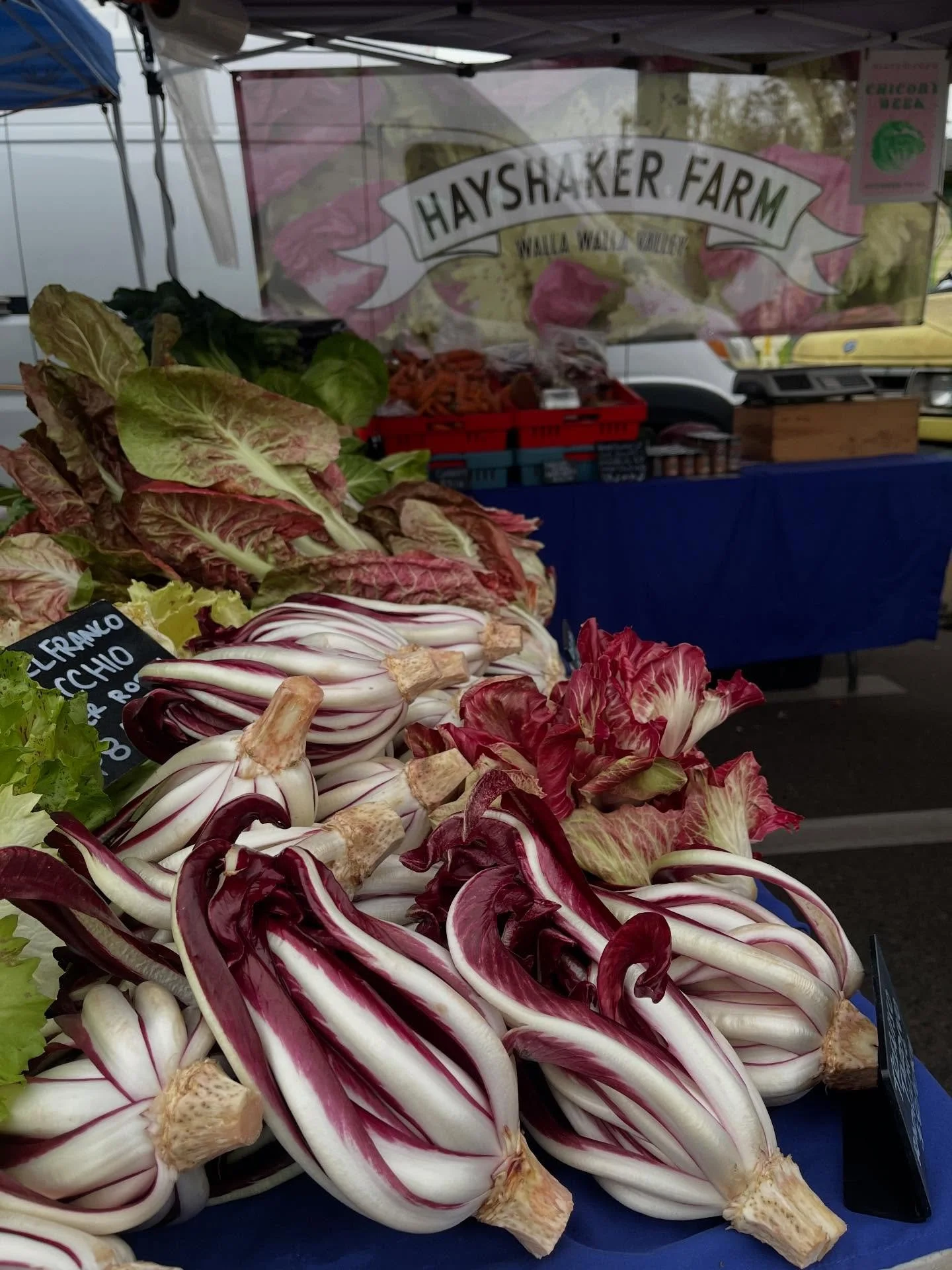 Seattle University District 9-2!
🩷❤️💜💚🧡💛🤍🖤