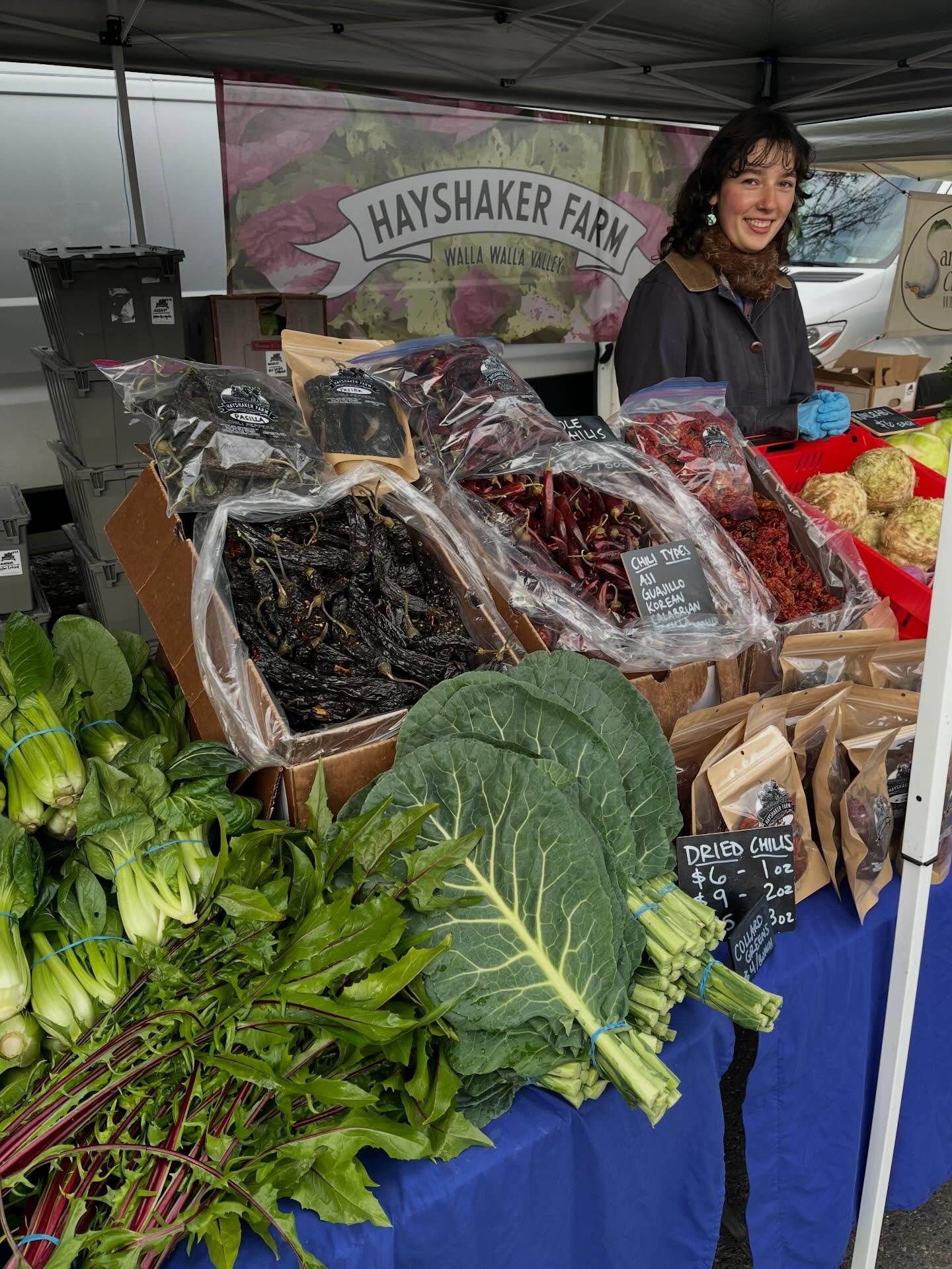 We&rsquo;re back at the @seattlefarmersmkts this weekend! Find @hayshakerfarm and @tailfeatherfarmww combo booth at both the UD Saturday and West Seattle Sunday markets!

Theo, Etta and I will be slinging all sorts of radicchio, pink and purple cabba