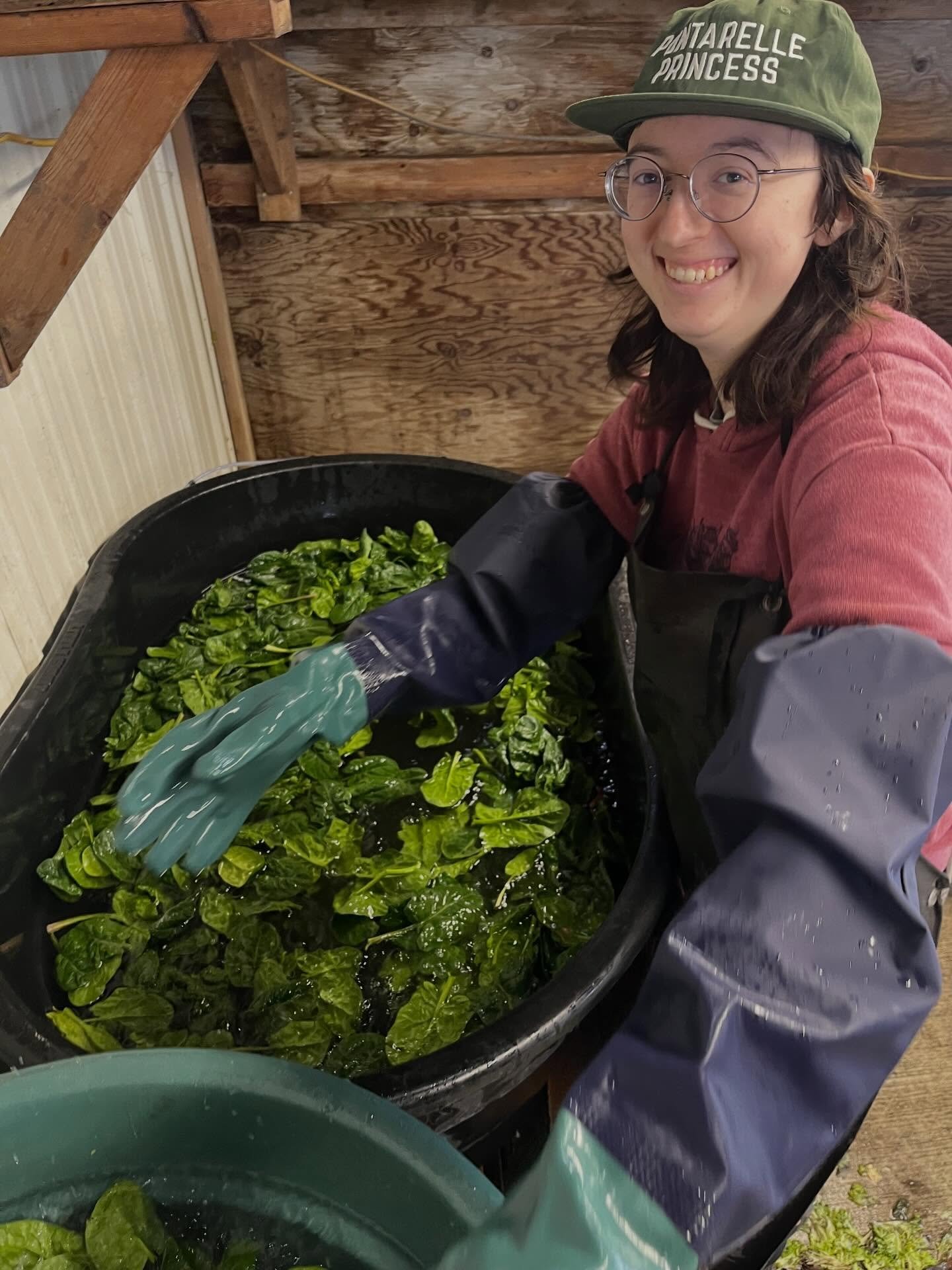 It&rsquo;s officially spring (in a few days) but we&rsquo;re already feeling it on the farm. And not especially&nbsp;because today is a&nbsp;particularly odd combo holiday celebrating both drinking and missionary work, depending on your flavor, but i