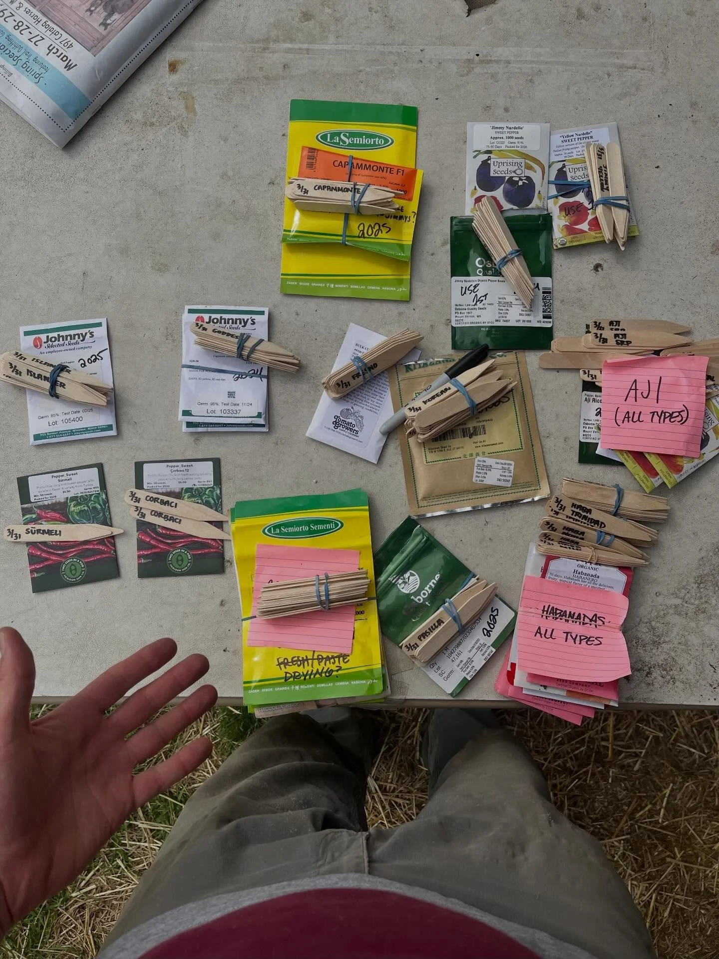 Most people probably do not consider me a &ldquo;spicy&rdquo; person, but we do grow a LOT of peppers, and it&rsquo;s something I&rsquo;m working on. Today is that day when we seed all 8000+ plants, a ritual that ropes in every free body around the f