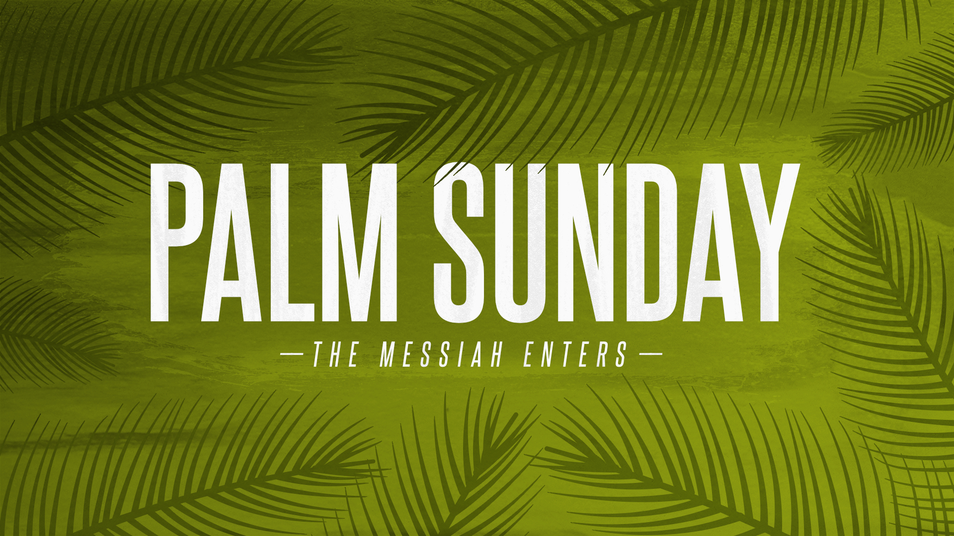 Palm Sunday - The Messiah Enters • April 9, 2017