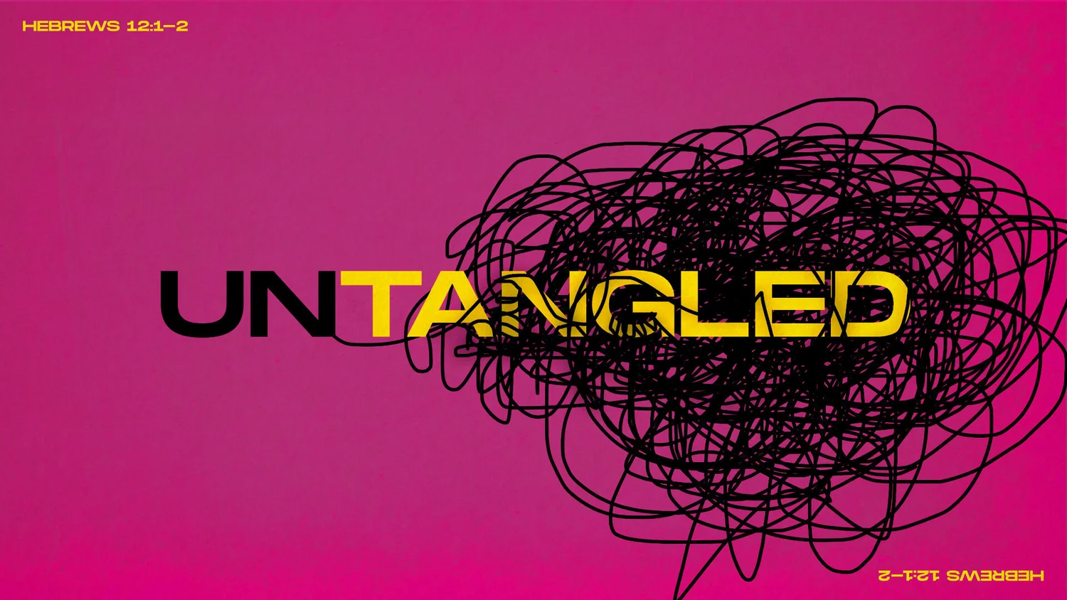 Untangled episode artwork
