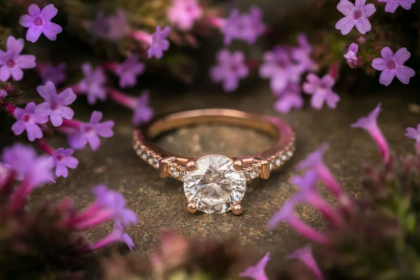 TIM GANGI PHOTOGRAPHY23.jpg