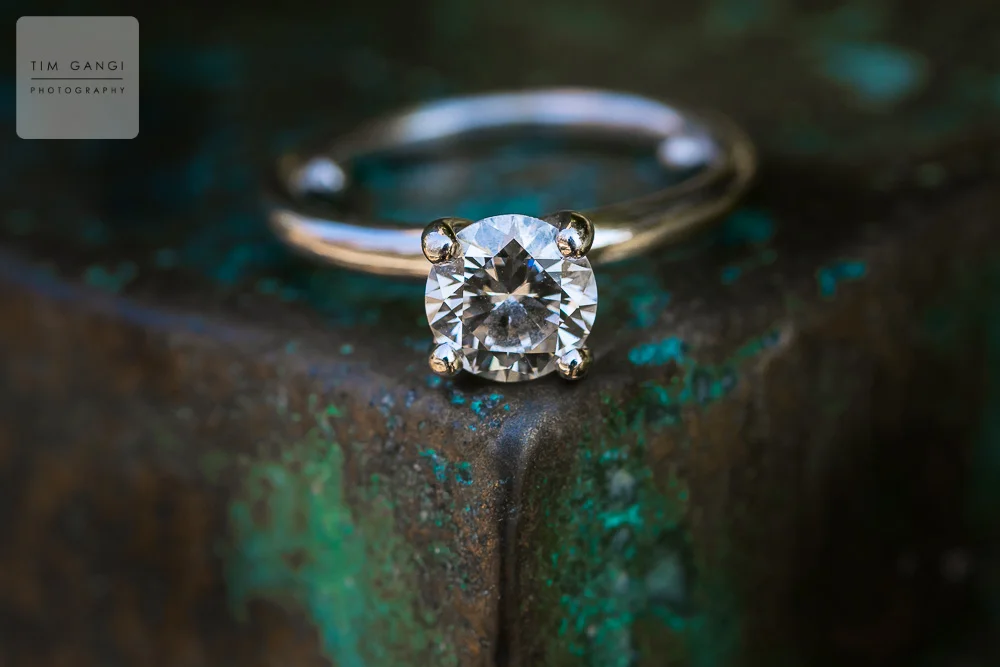 TIM GANGI PHOTOGRAPHY1.jpg