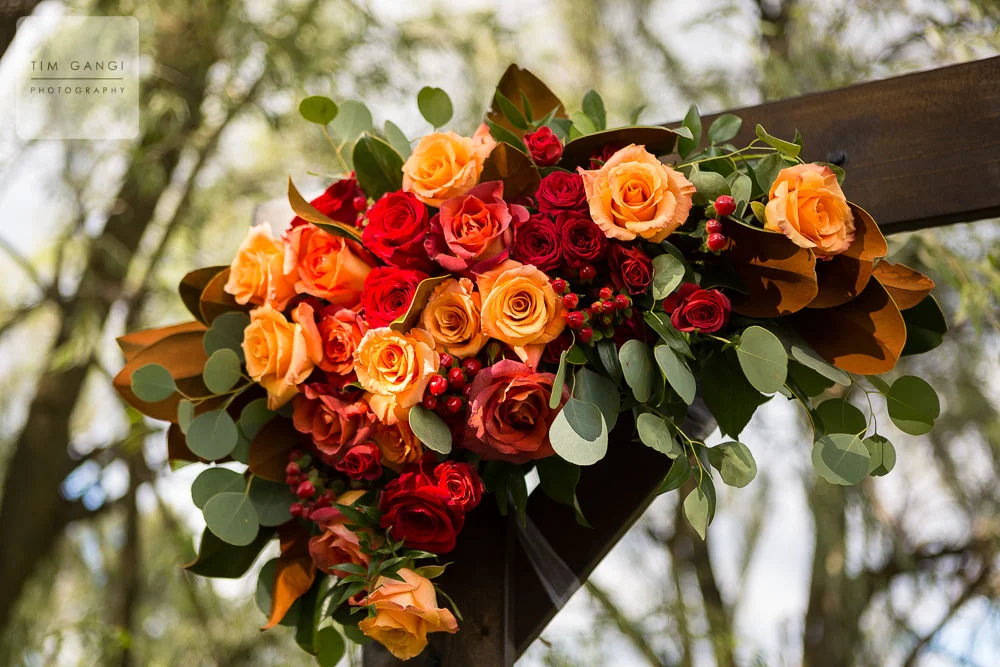 TIM GANGI PHOTOGRAPHY17.jpg