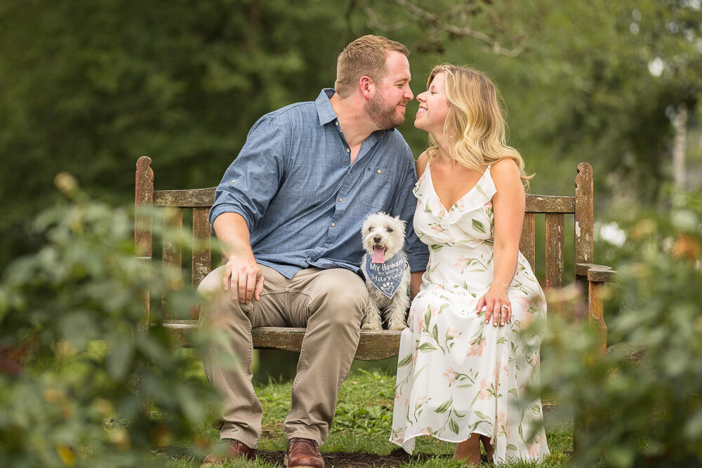 Allentown Rose garden engagement photos (5).jpg