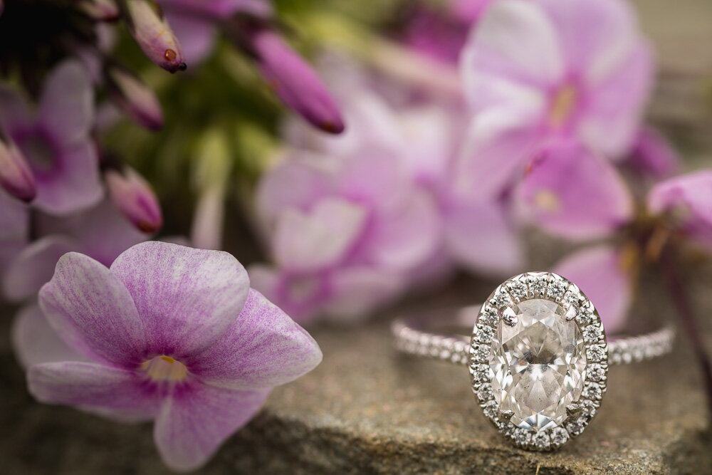 Allentown Rose garden engagement photos (8).jpg