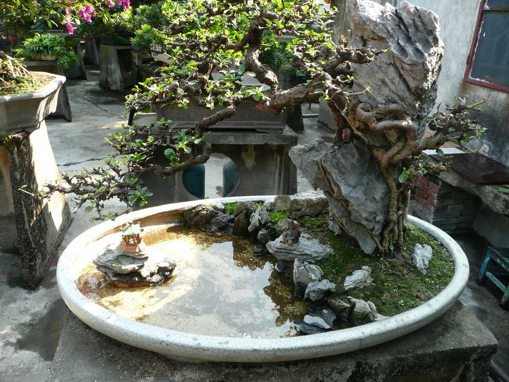 Penjing Qing Wan Garden