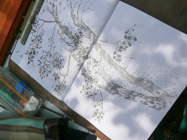 I arrived in the early afternoon. Plenty of time to plein air sketch with sumi ink.