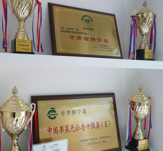 Award winning apples