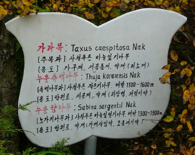 P1070251.jpg