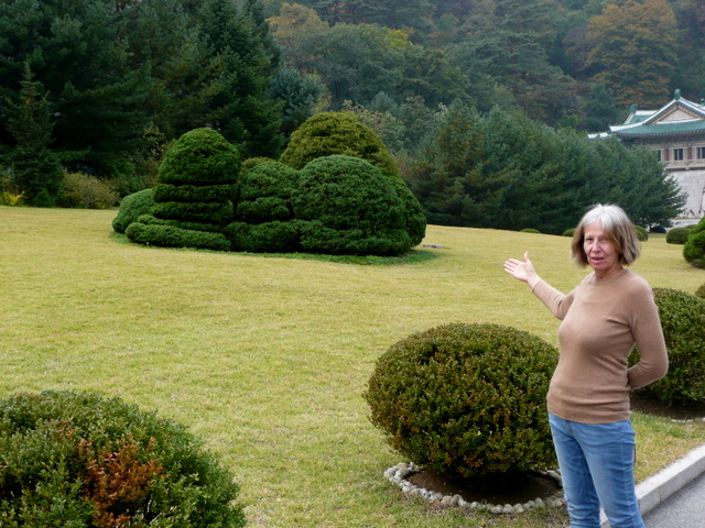What do you think? Is this a style of Lu Tian penjing, large, in-ground type, trimmed in layers, like giant mogu, photo by D E at International Friendship Exhibition House.