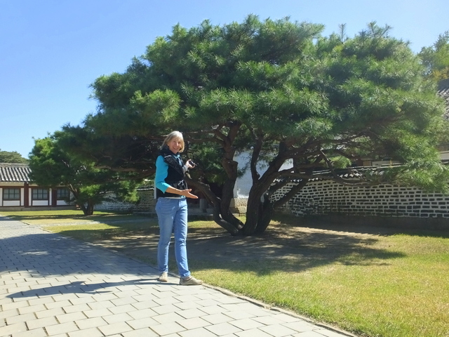 Here is another candidate for the Lu Tian style, seen at the Koryo Museum grounds, photo by D E