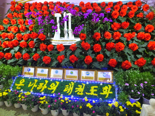 Taekwando exhibit at Kimilsungia&Kimjongilia Exhibition Hall.