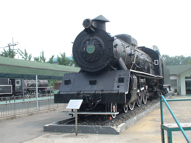 Paci5-23