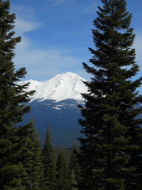 View north to Mt Shasta.