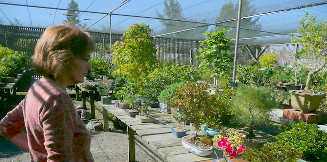 Kathleen O'Donnell at Lone Pine Gardens