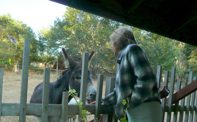 Kathleen visits with Daisy the donkey at Casa Carolina